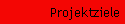 Projektziele