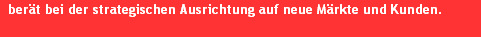 ber�t bei der strategischen Ausrichtung auf neue M�rkte und Kunden.